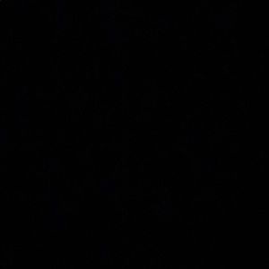 Meet your Posher, Malcolm